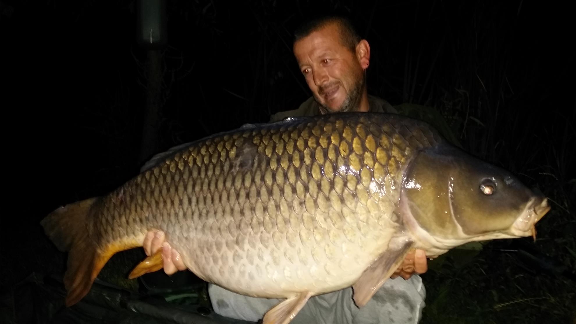 Șiclau 2015  - 20150624050303.jpg